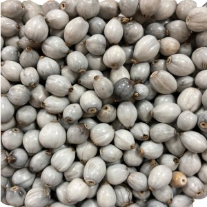 CTM1210001P500 - Contas Sementes Lágrimas de Nossa Senhora c/ 500un.