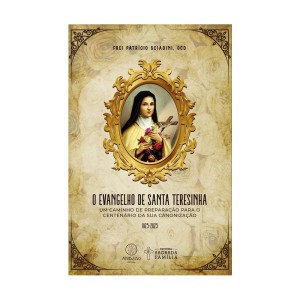 LI116458 - O Evangelho de Santa Teresinha - 21x14cm